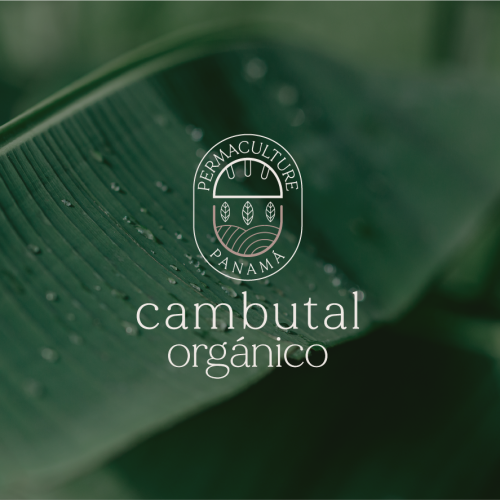 diseño de logotipo cambutal orgánico